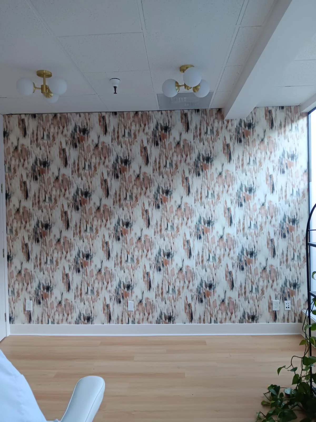 Wallpaper installation in Ballard Seattle